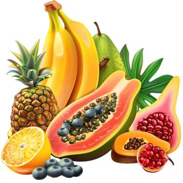 Vector Exotic Fresh Tropical Fruits Fruit Exotic Tropical Png