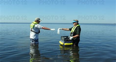 Usgs Water Quality Sampling At St Marks National Wildlife Refuge Ca