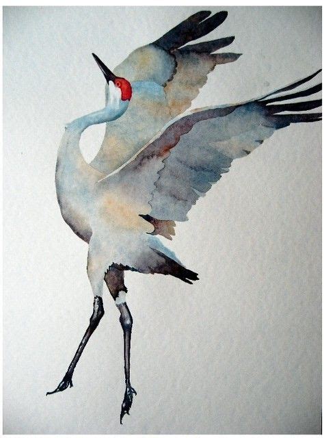 Watercolor sandhill crane – Artofit