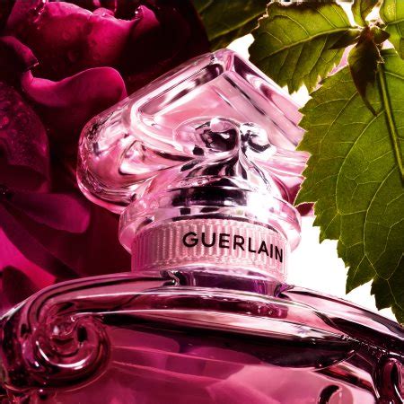 Guerlain La Petite Robe Noire Absolue Woda Perfumowana Dla Kobiet