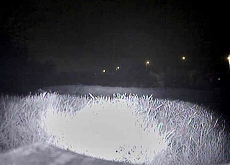 Лучшие FPV-камеры для полетов ночью | Dronnews.ru