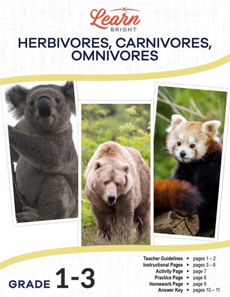 Herbivores Carnivores Omnivores Free Pdf Download Learn Bright