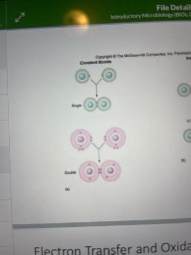 Chapter Microbial Biochemistry Principles Part Flashcards Quizlet