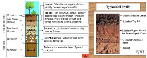 Soil Profile