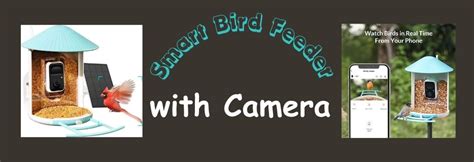 Best Smart Bird Feeder with Camera Solar Powered Review 2024