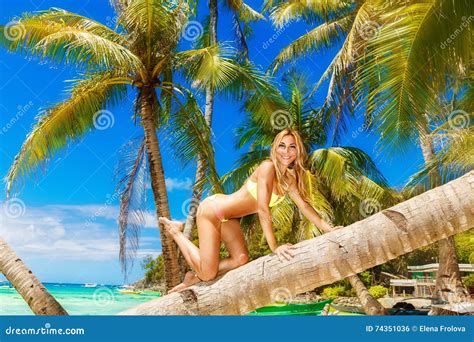 La Muchacha Hermosa Joven En Bikini En La Palmera En Un Tropical Sea Foto De Archivo Imagen De