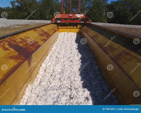 Cotton Module Builder Stock Image Image Of Cottonfield 7961605