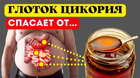 Вот что творит Цикорий с организмом, если пить его каждый день. Вы ...