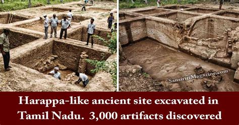 Harappa-like ancient site excavated in Tamil Nadu, 3,000 artifacts ...