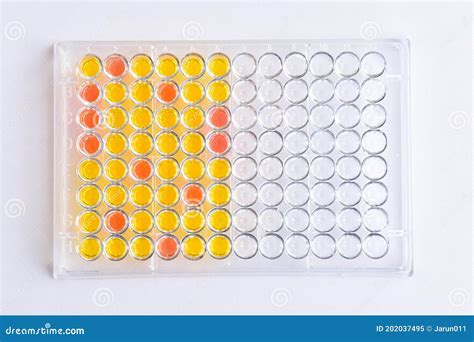 Enzyme Linked Immunosorbent Assay Or Elisa Plate Stock Image Image Of