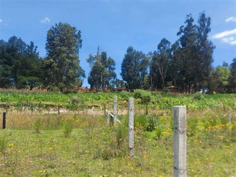 Venta Lote De Terreno En Villas Del Campo Calimaya Phpolno Venta