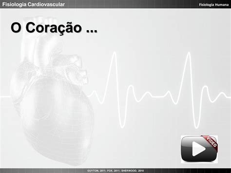 Solution Fisiologia Cardiaca Cardiologia Studypool