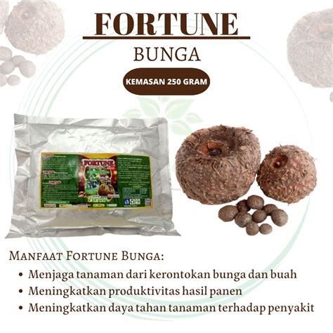 Jual Booster Umbi Porang Pupuk FORTUNE Untuk Tanaman PORANG Terbaik