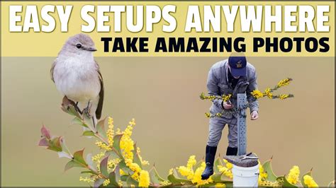 How To Build Setups To Take Fantastic Bird Photos Step By Step Guide Showing Exactly How I Do