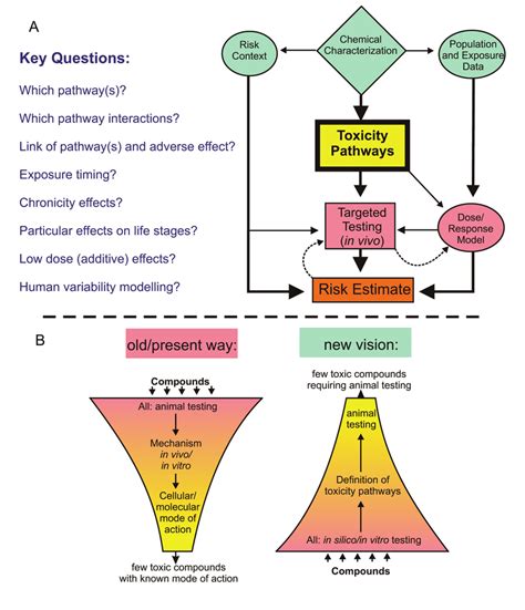 Approach To Toxicity Testing Suggested By The Nrc Usa A Tox C Ty