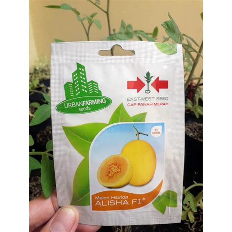 Jual Benih Melon Golden Hibrida Alisha F Bibit Melon Golden Kemasan