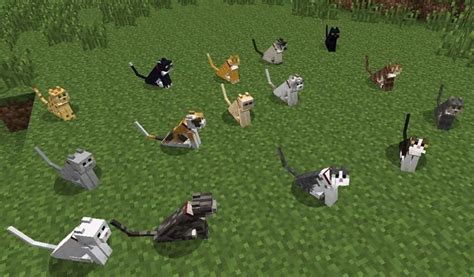 How To Breed Cats In Minecraft Easily