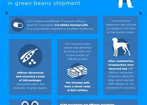 Daily Infographic Cbp Seizes 21m Worth Of Fentanyl In Green Beans