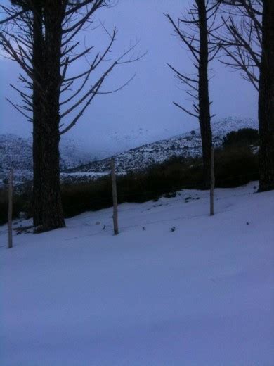 Si Imbiancano I Dintorni Di Palermo La Neve Arriva Anche A Pantelleria