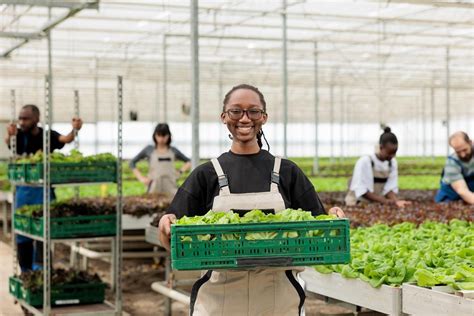 Decouvrez Les Secrets D Un Jardin Potager Florissant Grace A La