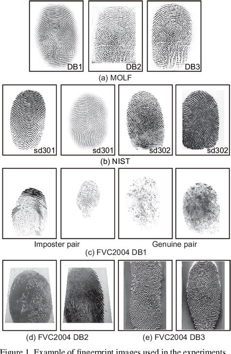 Figure From Fingerprint Feature Extraction Using Cnn With Multiple