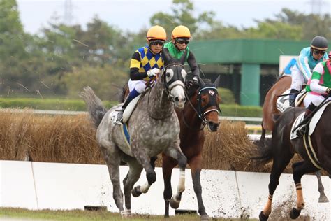 ジャンプレース応援隊 On Twitter 2022年5月15日 新潟4r 障害未勝利 1周目の飛越後、先頭が入れ替わりながら隊列が徐々に