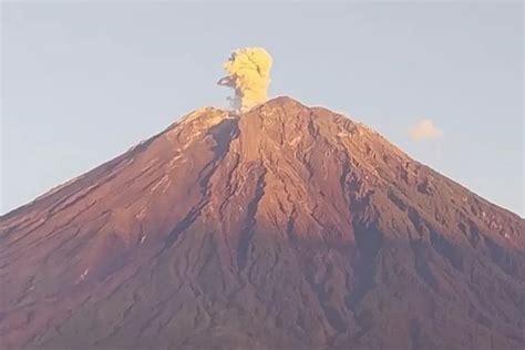 Kembali Erupsi Hingga Kali Gunung Semeru Lontarkan Abu Vulkanik