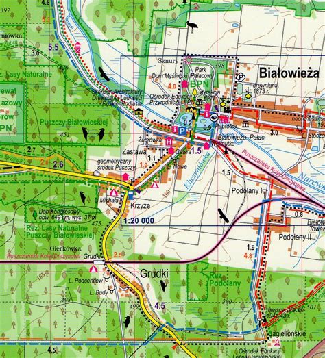 Puszcza Bia Owieska Laminowana Mapa Turystyczna Expressmap