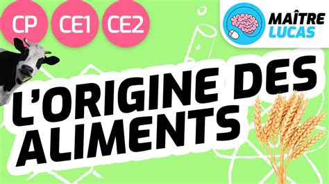 L Origine Des Aliments CP CE1 CE2 Cycle 2 Questionner Le Monde