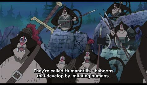 Powers & Abilities - Zoro learned baboon swordsmanship | Worstgen