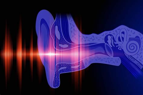 Symptoms, Causes and Treatment of Acoustic Neuroma - Facty Health