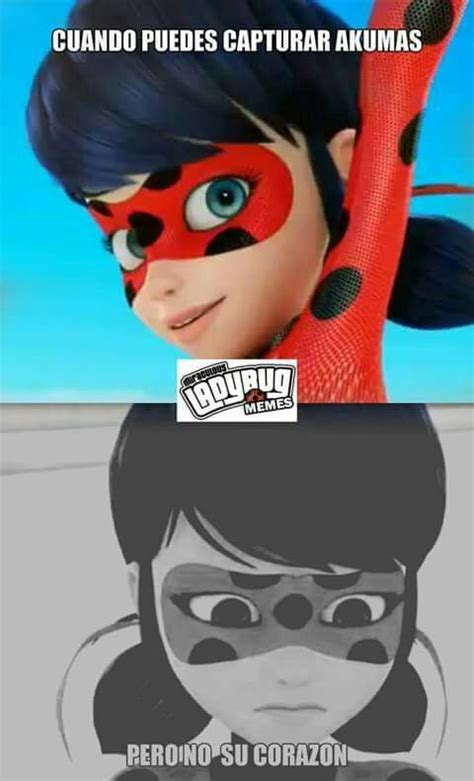 Miraculous Miraculous Ladybug Anime Miraculous Ladybug Memes Hot Sex