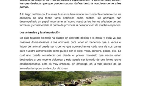 Por qué son Importantes los Animales en Nuestras Vidas Descubre la