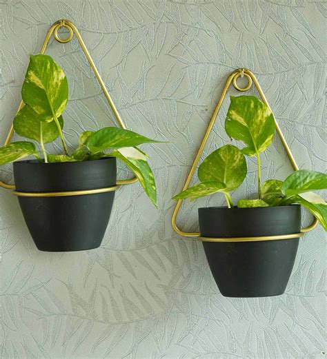 Buy Black Metal Wall Planter at 25% OFF by Tied Ribbons | Pepperfry