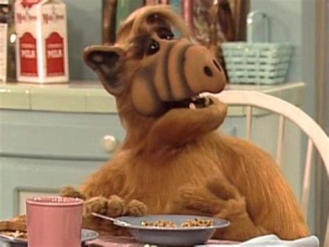 Classic Tv Shows Alf Alien Life Form 80s Tv Tv Puppets Alf