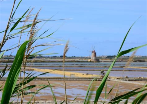 Erice And Marsala Salt Olive Oil And Wine With Lunch Included Getyourguide