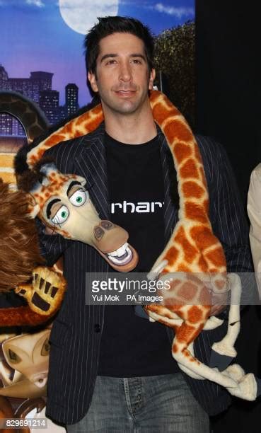 414 Schwimmer Madagascar Photos & High Res Pictures - Getty Images