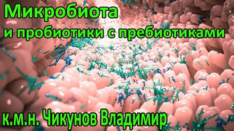 Микробиота и пробиотики с пребиотиками - YouTube