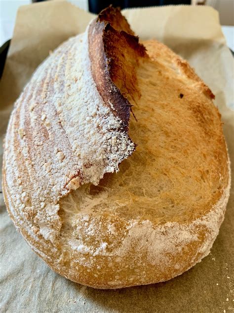 Making Sourdough In Hot And Humid Environments The Simplest Way To