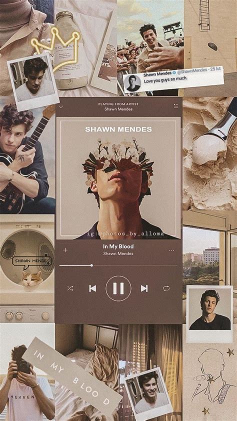 Shawn Mendes Aesthetic Wallpapers Top Free Shawn Mendes Aesthetic