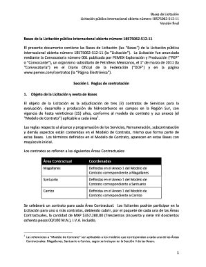 Completable En L Nea Bases De La Licitacin Pblica Internacional Abierta