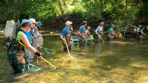 Tools of the Trade: Electrofishing