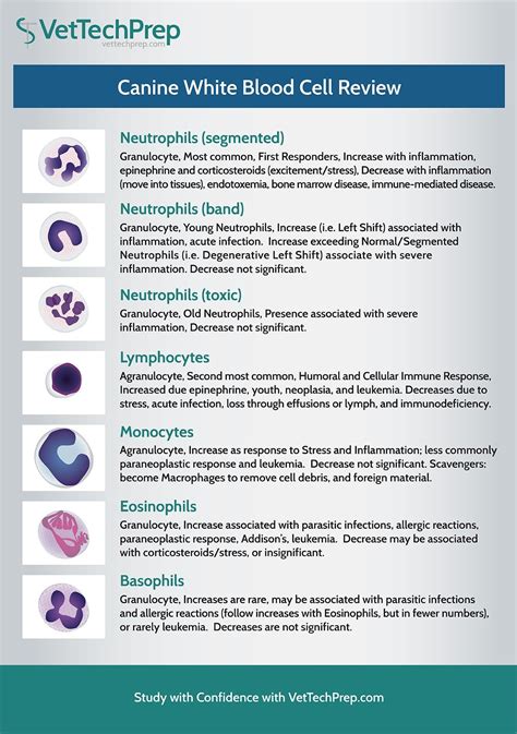 Ear Cytology Vet Cheat Sheet