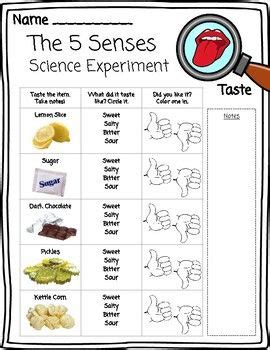 5 Senses Science Experiments and Worksheets | Kindergarten worksheets ...