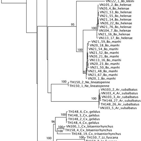 Bayesian Phylogeny Of The Barcode Region Of The Coi Nucleotide