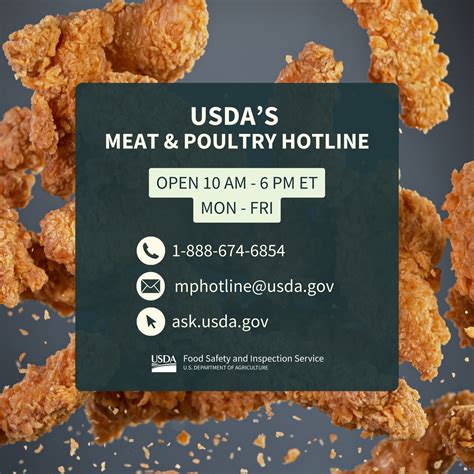 FoodSafety.gov | Washington D.C. DC