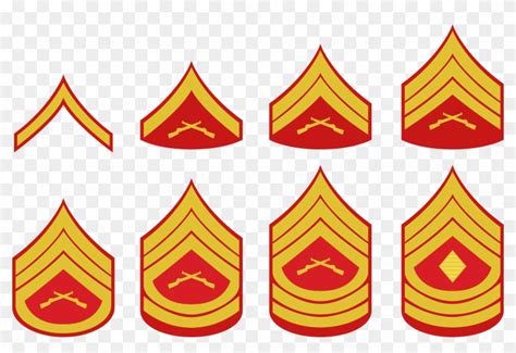 Marine Rank Insignia Chart