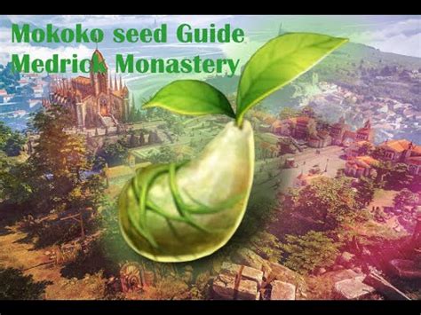 Lost Ark PVE Guide Mokoko Seeds Medrick Monastery YouTube