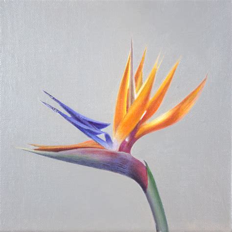 Bird Of Paradise Ii By Carlos Bruscianelli Painting Oil On