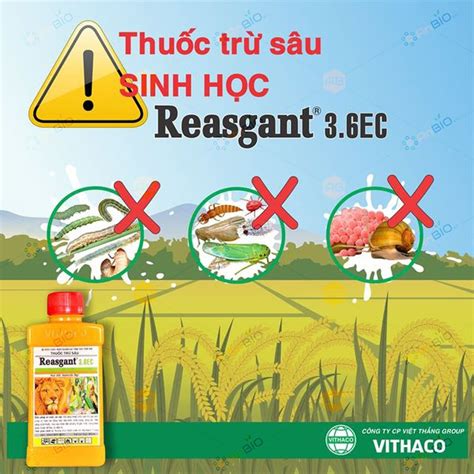 Thu C Tr S U Reasgant Ec Anbio Vn Agriculture Natural Biotechnology